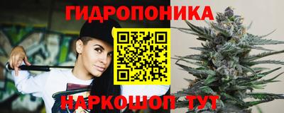 прущие грибы Пушкино