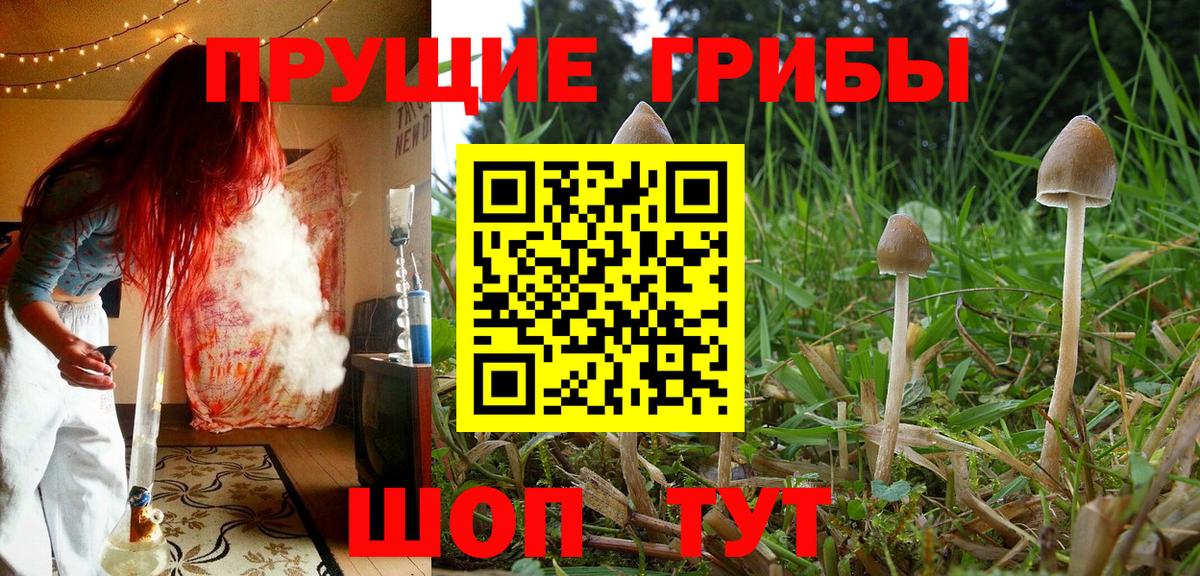 Каннабис  Экстази  АМФ кристаллы  Вход с VPN  Александров  Гашиш  Cocaine  Alpha-PVP СОЛЬ кристаллы  Меф  Мефедрон  